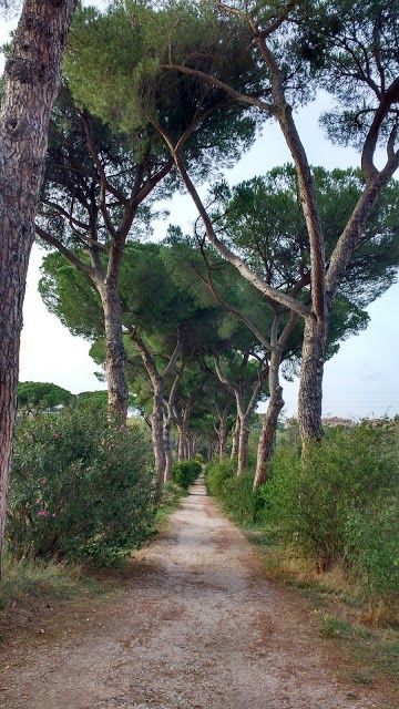 Parco Urbano di Aguzzano